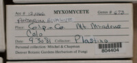 Image Associated With the Occurence